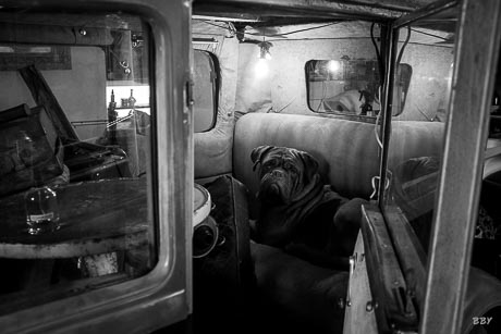 portrait cool retrospective